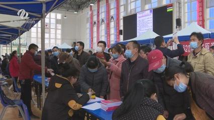 株洲市“就業(yè)創(chuàng)業(yè)地圖”上線，精準導(dǎo)航職業(yè)中介服務(wù)新體驗